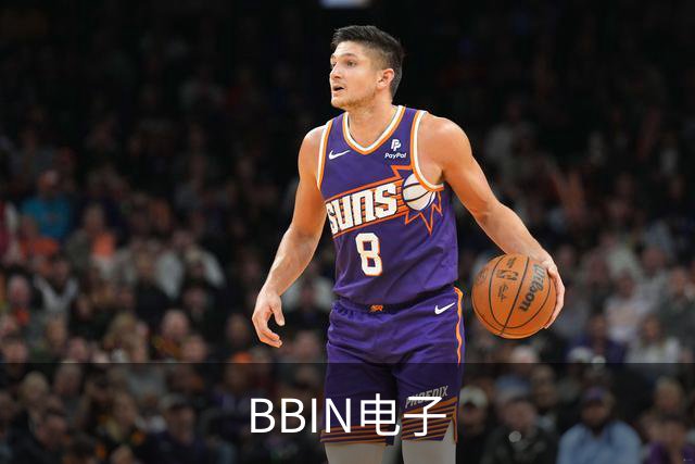 BBIN电子公司简介图片